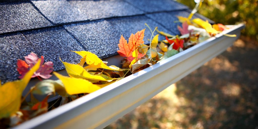 What Kind of Damage Can a Clogged Gutter Really Cause to a House?